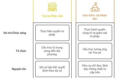 Lý thuyết KTPL 10 Bài 22: Tòa án nhân dân và Viện kiểm sát nhân dân