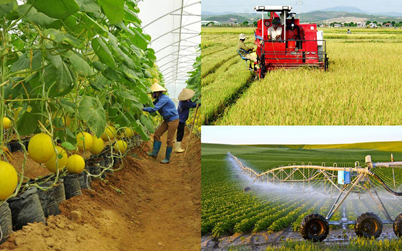 Trắc nghiệm KTPL 10 Bài 2: Các chủ thể của nền kinh tế